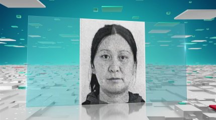 Женщина ушла в метель искать скот и пропала в степи под Экибастузом