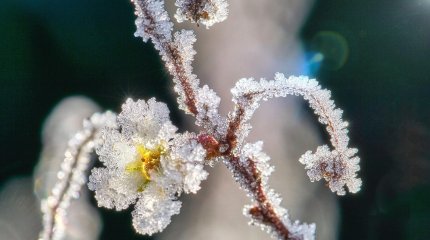Штормовое предупреждение объявлено на большей части Казахстана