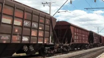 Павлодарда жеті жылқыны пойыз басып кетті