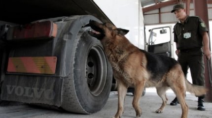 Жалған құжатпен шекарадан өтпек болғандарға қатысты 99 дерек тіркелді
