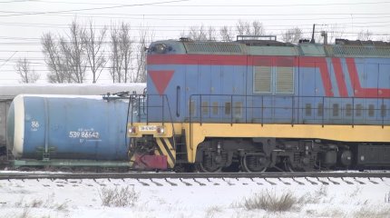 Павлодар облысында жүк пойызы 7 жылқыны басып кетті