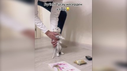Тұсаукесер питомцу - в казнете распространяется новый тренд