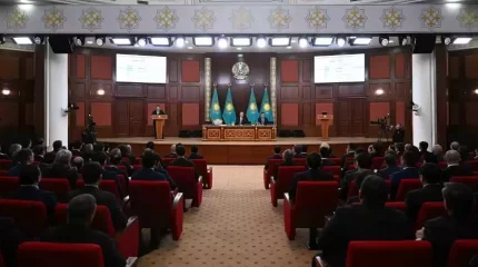 Әкімдер өз қаласында жаяу жүріп, аралауы керек – Тоқаев