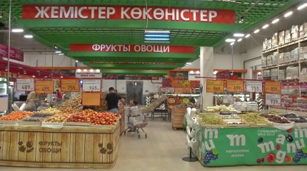 "Үкіметтің әрекеті бағаны тұрақтандыруға қауқарсыз",- Президент.