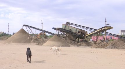 Без пастбищных угодий остались жители пригорода Актобе