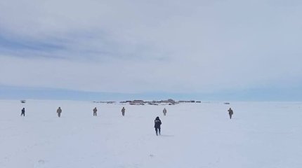 Женщина замерзла в степи при поиске скота под Экибастузом