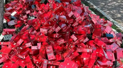 Қырғызстаннан елге 20 мың қорап темекіні заңсыз кіргізбек болғандар ұсталды