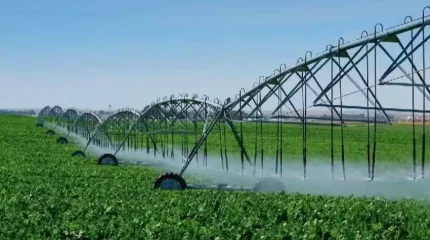 Сенатор оңтүстіктегі өңірлердің егіс суаратын жүйелерін жетілдіруге қосымша қаражат сұрады