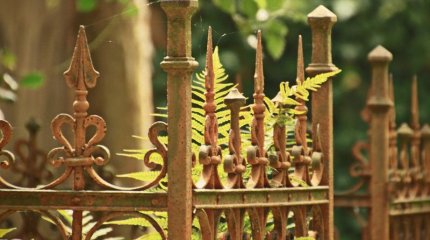 Йеменде көмек алуға келген 78 адам қаза тапты