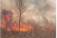 Многострадальная Перевалочная роща горит в Уральске