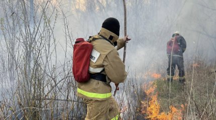 Пожар в роще на западе страны: к ликвидации подключились огнеборцы МЧС РК