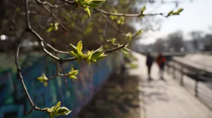 23 градусқа дейін жылы: жұмада елімізде ауа райы қандай болады