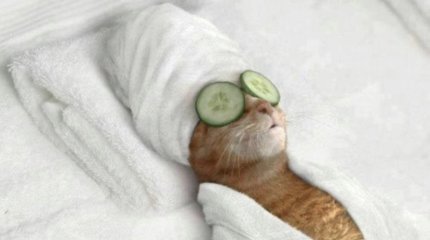 Рискуйте, Раки; зовите в гости, Девы: как провести это воскресенье знакам зодиака