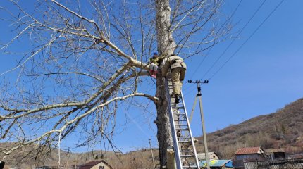 11-летняя девочка забралась на дерево и не смогла слезть с него без помощи спасателей в Риддере