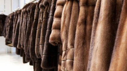 Несуществующих шуб на 4 миллиона тенге продал астанчанин