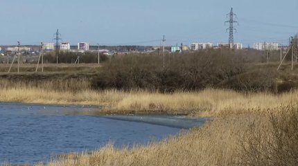 «Форточки не открываем»: жители Петропавловска задыхаются от зловония
