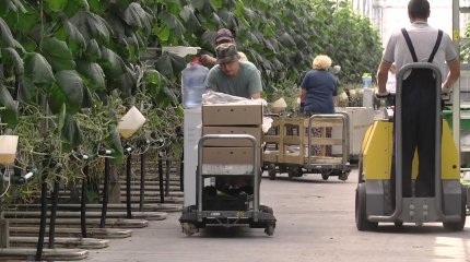 Осуждённый помог устроиться  на работу соседям по колонии