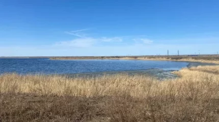 Қызылжар тұрғындары қолаңса иіске тұншығып отыр