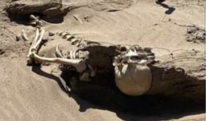 Человеческие останки нашли в Кызылорде