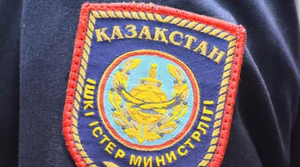 Қарт анасын қорлаған астана тұрғыны қамауға алынды