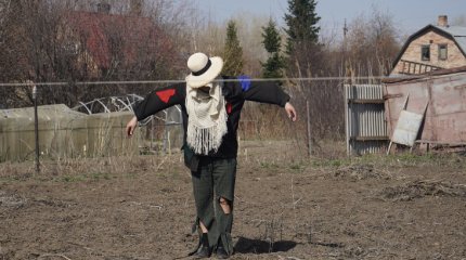 Спасатели в костюме «Пугала» прошлись по дачам ВКО