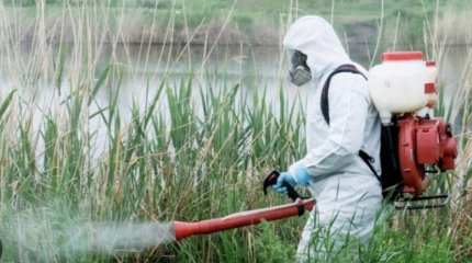 Закрывать окна и не выходить из дома с 21 вечера до 4 утра призвали астанчан