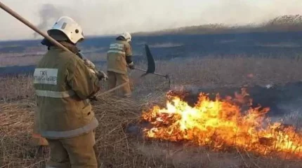 Каспий жағалауындағы қамыс өрті әлі толық сөнген жоқ