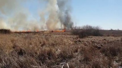 Почти сутки пытаются потушить пожар в окрестностях Павлодара