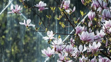 Сюрприз ждёт Стрельцов, уход от прошлого - у Водолеев: гороскоп на 30 апреля