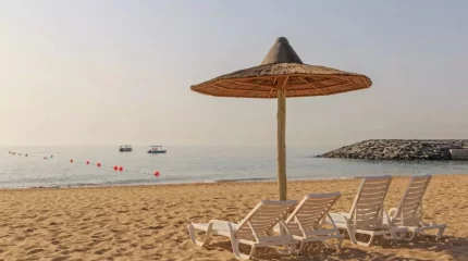 Әйел жағажайда кездестірген бейтаныс адамға бүйрегін берген