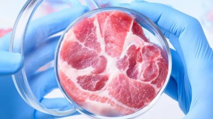 Искусственное мясо запретят в Италии