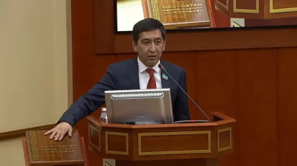 "Антты "серьёзно" қабылдамайтын депутаттар да бар..."