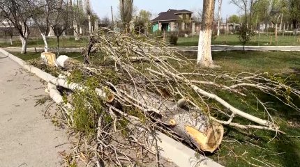 Жамбылда жойқын желден 6 ауыл жарықсыз, екі ауыл газсыз қалды