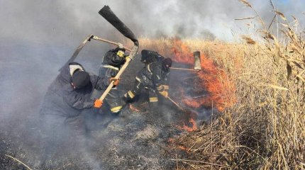 Атырау облысындағы дала өрті ауыл тұрғындарының үйіне дейін жетті