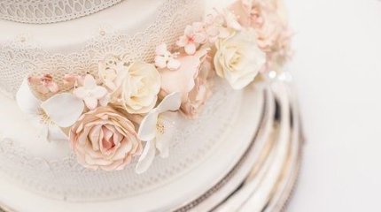 Торттан көйлек киген қыз желіні шулатты