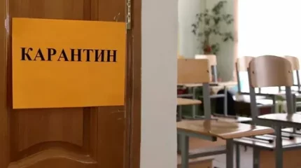 Қызылша дерті өршіді: карантин енгізіле ме?