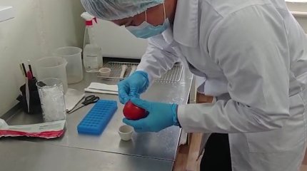 Түркістан облысында шетелден жеткізілген 43 тонна қызанақтан қауіпті вирус табылды