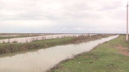 Түркістандық шаруалар егін еге алмай отыр