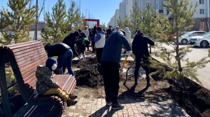 Астанада биыл бір миллион ағаш пен бұта отырғызылады