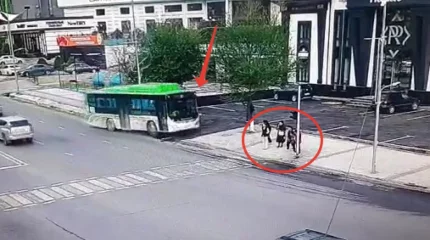 Шымкенттегі жол апаты: Жүргізуші автобустың қол тежегішін тартқан-тартпағанын тергеу анықтайды