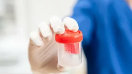 Сот ер адамды ұрық доноры болу құқығынан айырды