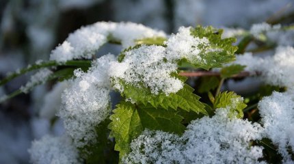 Аяз, қар, жаңбыр: 2 мамыр күні Қазақстанда ауа райы қандай болады?