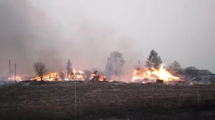 Ресейдегі өрттің түтіні Қазақстанның үш облысына жетті