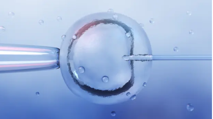 В Британии родился первый ребенок от троих родителей