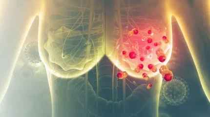 Гинеколог сүт безі обырын тудыратын 4 әдетті атады