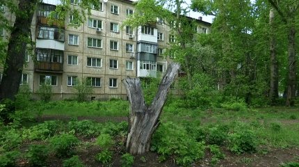 «В кустах ищите своего сотрудника»: владельца полицейского кителя разыскивают в Петропавловске
