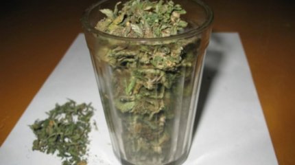 30 стаканов марихуаны хранил на рабочем месте повар ресторана в Актобе