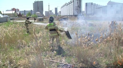 «Орман мекемелеріндегі техниканың 55 пайызы табиғи өртті сөндіруге қауқарсыз», - ТЖМ
