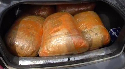 Қызылжарда соңғы он жылдағы ең ірі есірткі партиясы тәркіленді