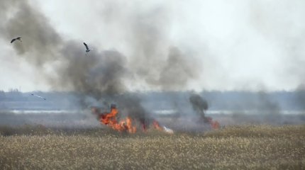 В правительстве опасаются большого количества пожаров этим летом